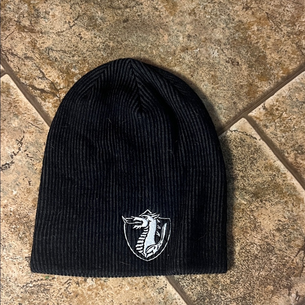 Black Beanie with Embroidered Dragon Logo